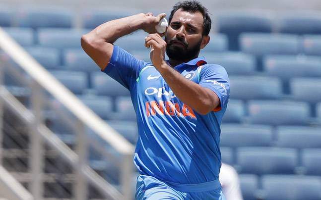 mohammed shami India seal series 3-0, beat New Zealand by seven wickets in third ODI, Rohit and Virat scored half centuries.