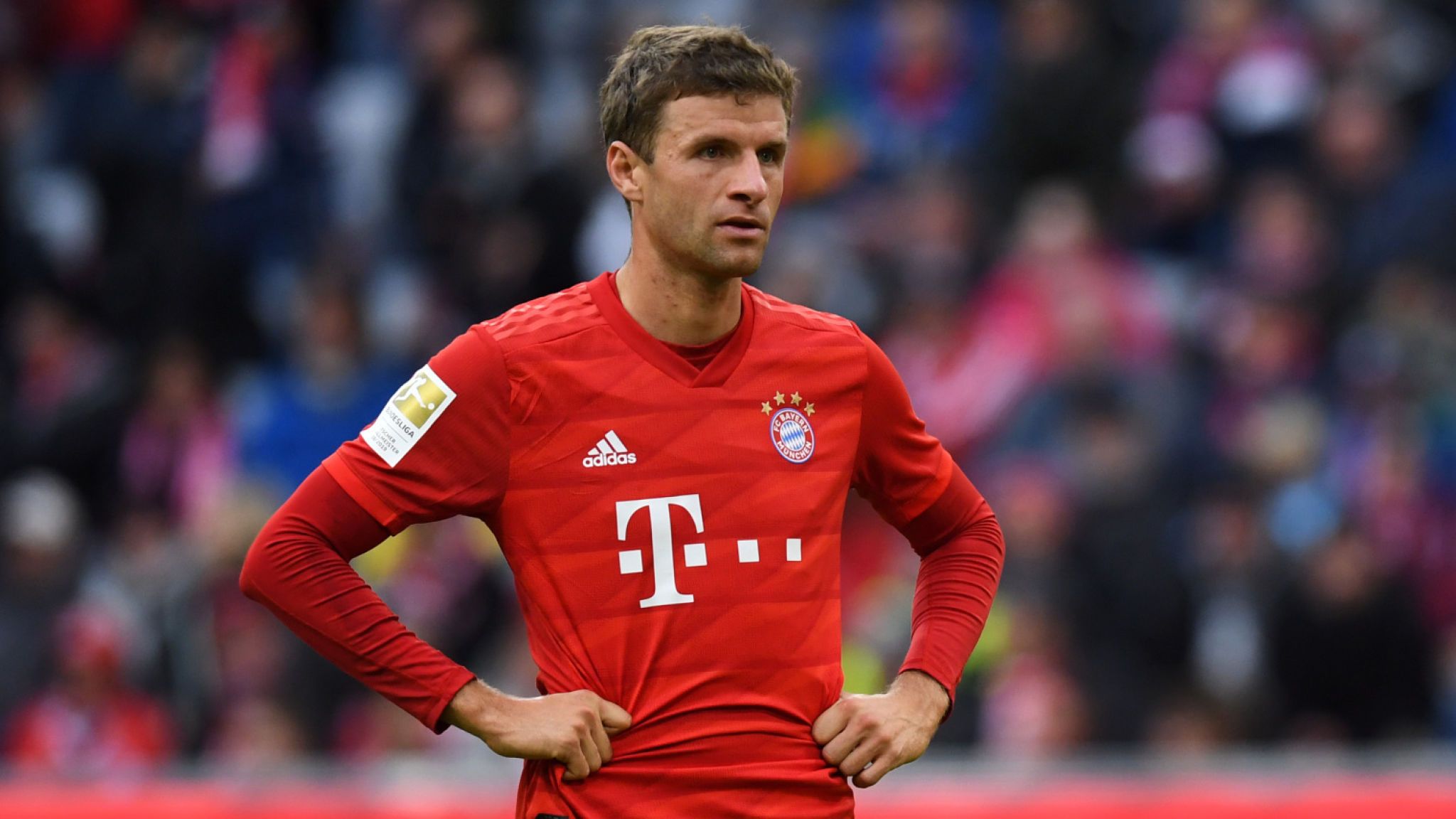 muller