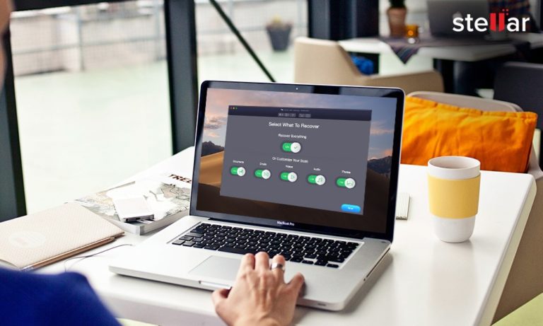 Stellar Data Recovery Professional Review- Fast, Easy & Secure