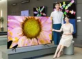 Samsung QT67 QLED TV_TechnoSports.co.in