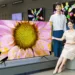 Samsung QT67 QLED TV_TechnoSports.co.in
