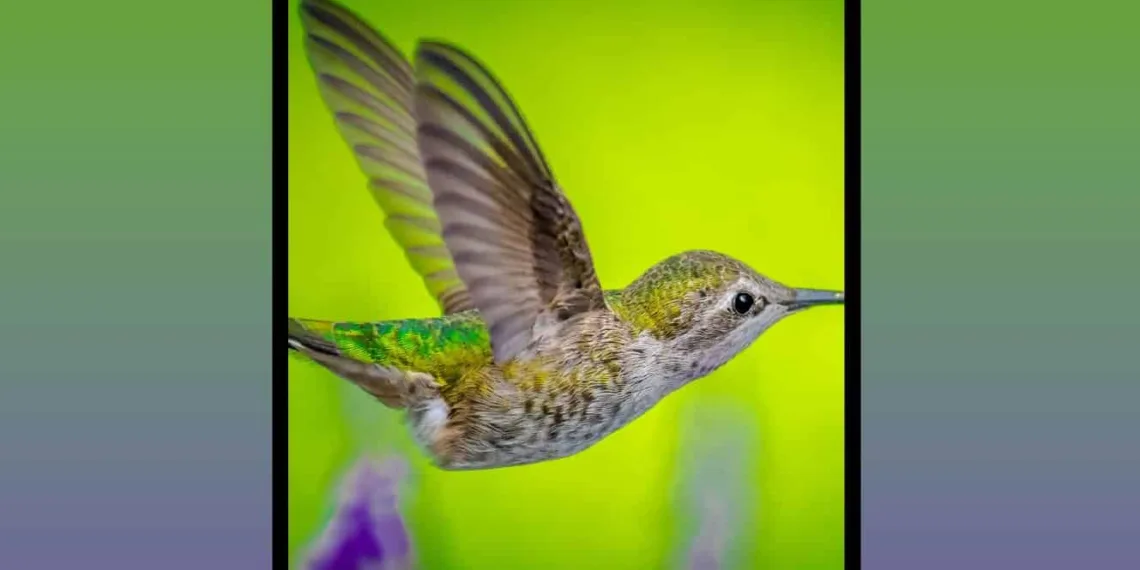 Samsung will be unveiling the Galaxy Z Fold 2 in its UNPACKED on August 5: Revised report