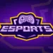 esports startup What Esports betting options are available at JeetBuzz App?