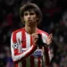 Atletico Madrid's Portuguese forward Joao Felix applauds during the UEFA Champions League football match between Club Atletico de Madrid and Lokomotiv Moscow at the Wanda Metropolitano stadium in Madrid on December 11, 2019. (Photo by PIERRE-PHILIPPE MARCOU / AFP) (Photo by PIERRE-PHILIPPE MARCOU/AFP via Getty Images)