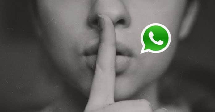 WhatsApp finally enables 'Always Mute' feature__TechnoSports.co.in WhatsApp finally enables 'Always Mute' feature__TechnoSports.co.in