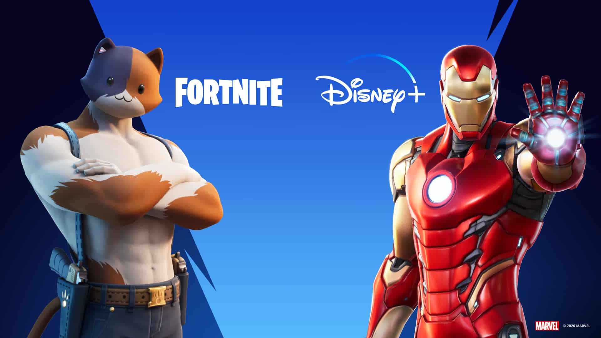 Epic games offer free Disney plus subscription for its in-game purchases