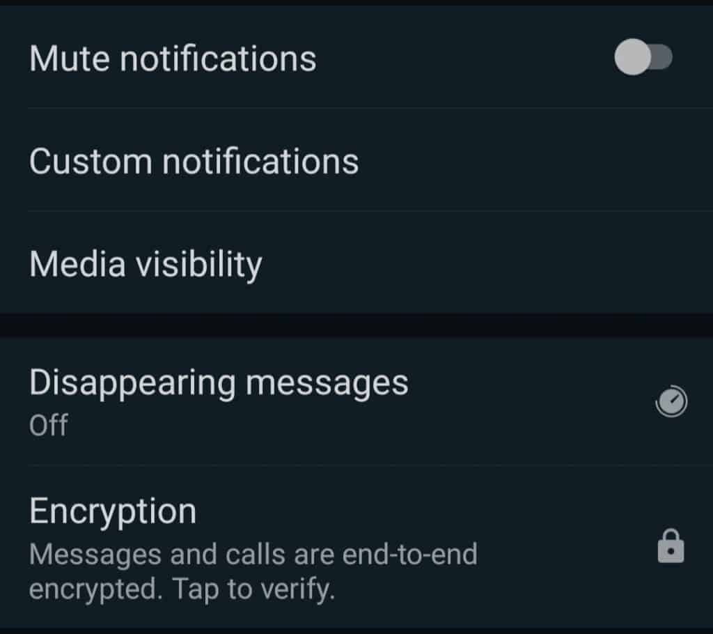 WhatsApp Disappearing Message Step 1_TechnoSports.co.in