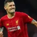 Dejan Lovren