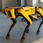 Boston Dynamic’s ‘Spot’ becomes a helping hand of Chernobyl