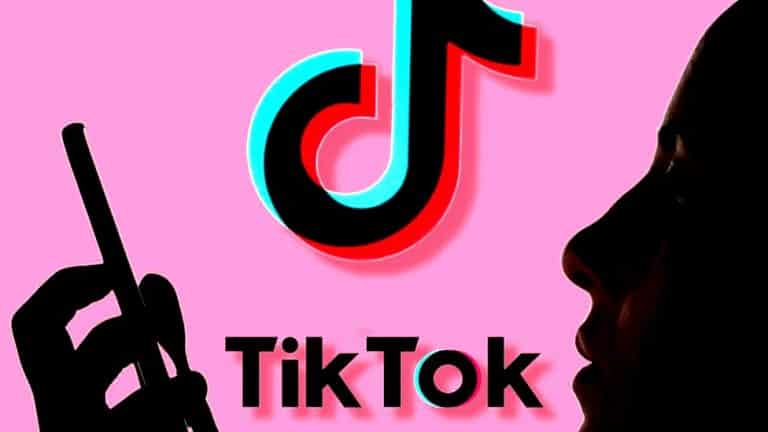 Local developers looking to monopolize the TikTok market in India