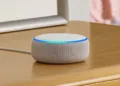 Families with young kids use Alexa twice as much as others