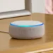 Families with young kids use Alexa twice as much as others