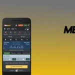How to download MELbet app (apk)