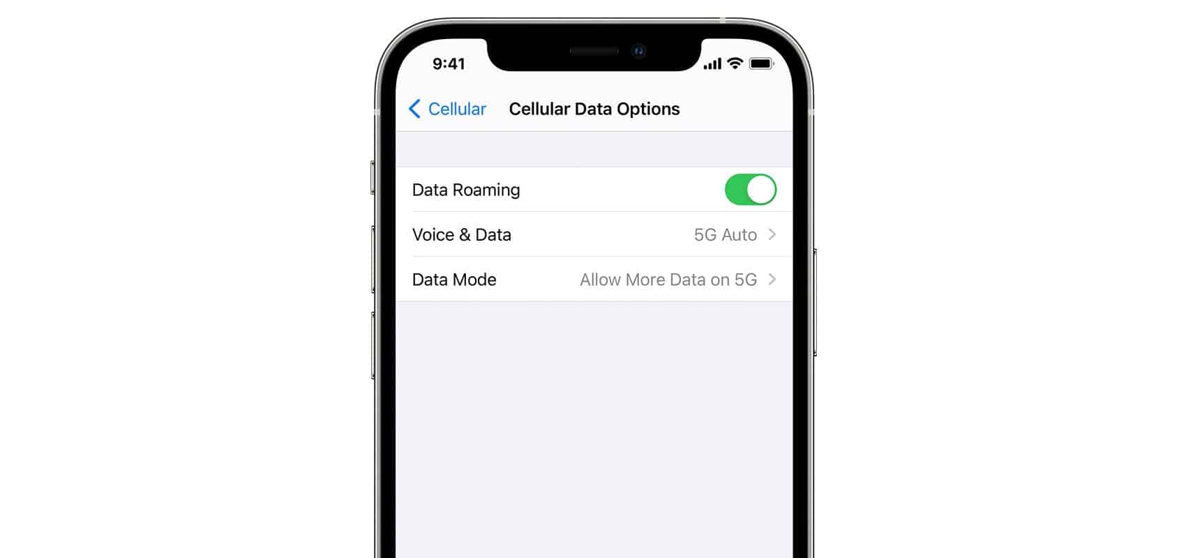 Complain arises regarding the iPhone 12s losing 5G signals on AT&T and Verizon