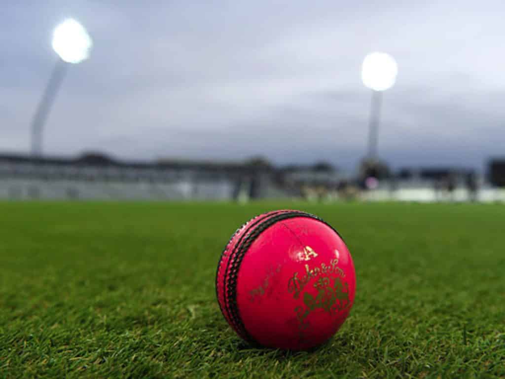 jpg toi1 India vs Australia 1st Test will be a day/night pink ball test: How different it is from a normal red ball Test match and everything you need to know