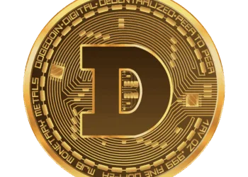 Dogecoin's value rises as much as 80% as Bitcoin slows down