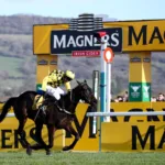 Cracking the Whip: Understanding the Surging Popularity of Horse Racing Betting