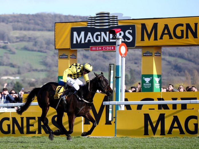 horse racing Cheltenham Gold Cup Horse Racing