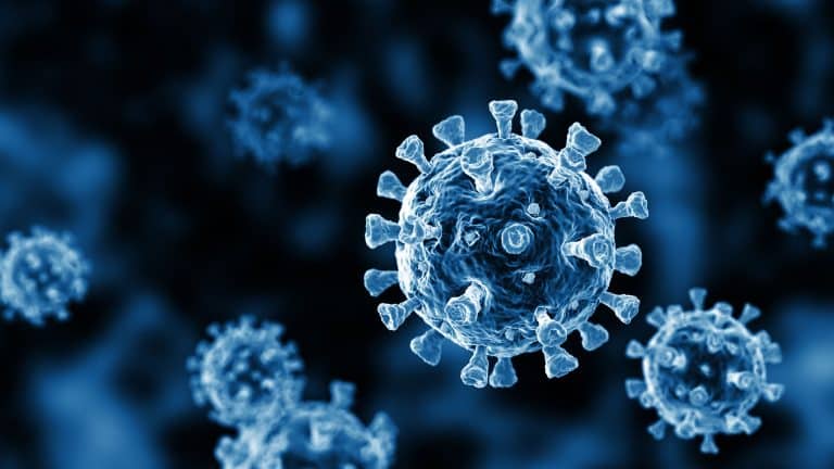 US administration working on a new COVID vaccine passport system