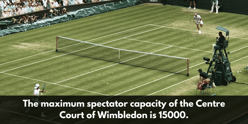 Content 2 2 Top 10 amazing facts every Wimbledon and Tennis fan should know