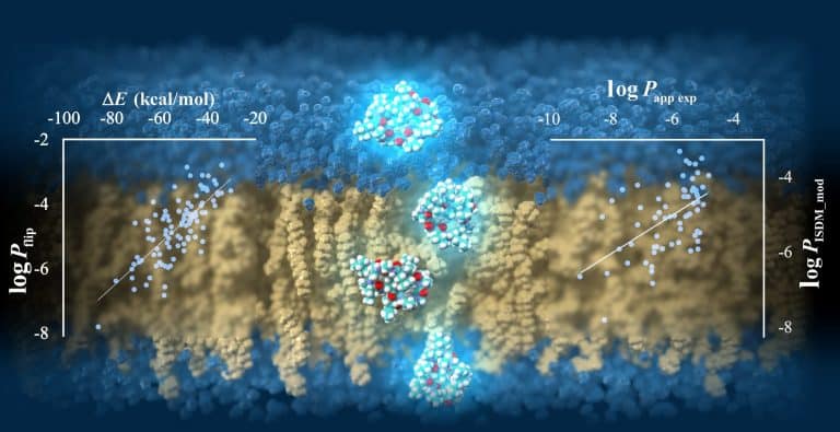 TSUBAME supercomputer predicts cell-membrane permeability of cyclic peptides