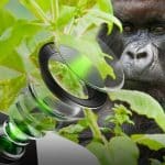 Corning Gorilla Glass DX and DX+ are announced to make phone’s camera glasses durable