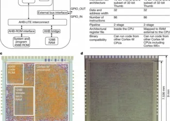 PlasticArm a flexible 32-bit computer chip made from plastic created by Arm researchers