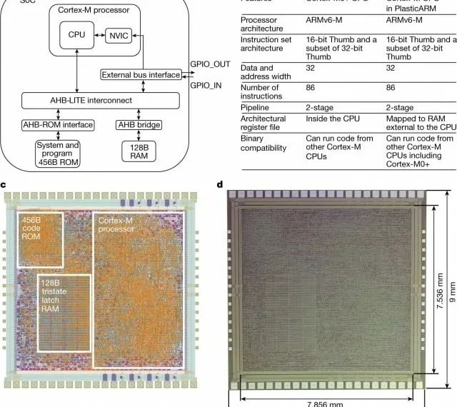 PlasticArm a flexible 32-bit computer chip made from plastic created by Arm researchers