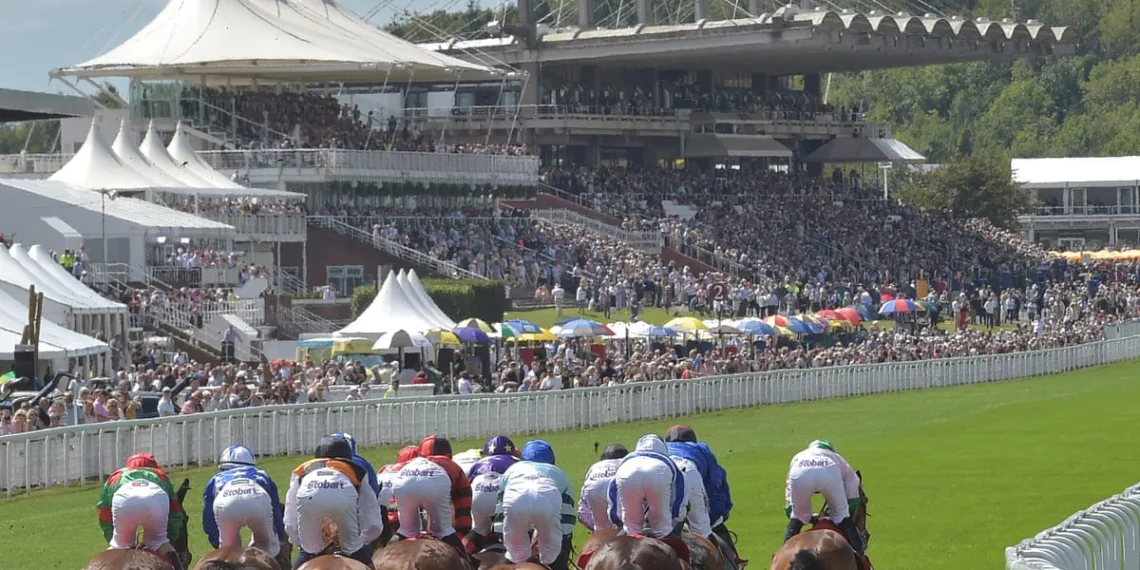 Henry de Bromhead horse