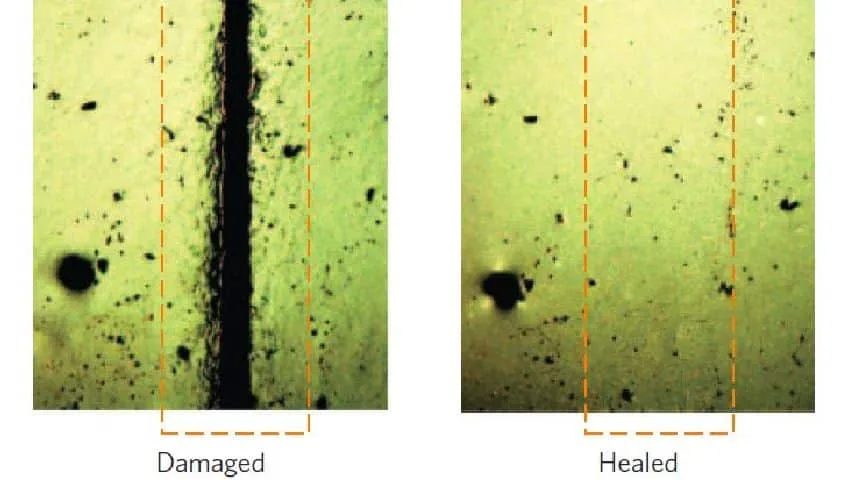 Indian scientists develop the world's hardest material with self-healing material that could revolutionize future phones