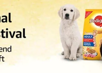 Amazon India announces the International Dog Day Store