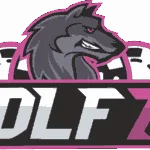 Wolf777 becomes official sponsor of the Barbados Royals in the Caribbean Premier League 2021
