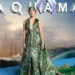 Amber Heard would not be removed by Aquaman 2 Filmmakers because of Johnny Depp's fans