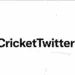 Game on: #CricketTwitter to bring an exciting extravaganza for fans