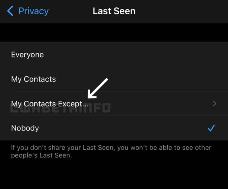 WhatsApp Last Seen - My Contacts Except option_TechnoSports.co.in (1)