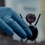 “The Chestnut Man”: Everything We Know about the Danish Mysterious Crime Thriller series