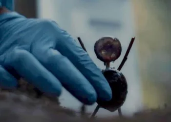 “The Chestnut Man”: Everything We Know about the Danish Mysterious Crime Thriller series