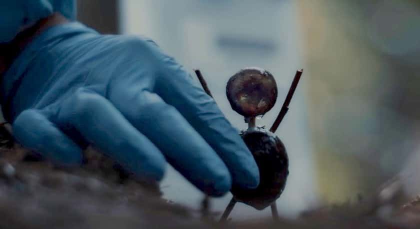 “The Chestnut Man”: Everything We Know about the Danish Mysterious Crime Thriller series