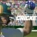 Cricket 22