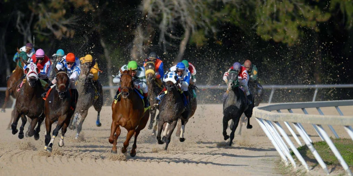 Photo by Jeff Griffith on Unsplash