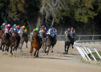 Photo by Jeff Griffith on Unsplash