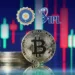 IPL 2022: BCCI strictly says no to crypto sponsorship deals and betting.
Credoits- InsideSports