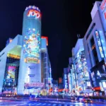 The Top 10 Most Loved Japanese Brands in India