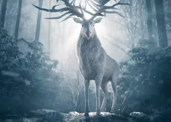 "Shadow and Bone (Season 2)": Everything We Know About the Fantasy TV series