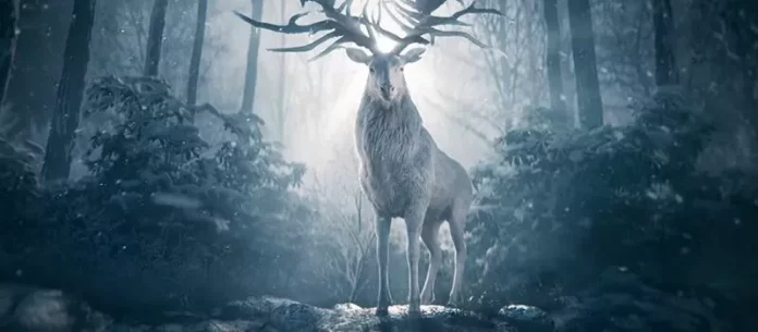 "Shadow and Bone (Season 2)": Everything We Know About the Fantasy TV series "Shadow and Bone (Season 2)": Everything We Know About the Fantasy TV series