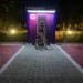 The Fern Hotels & Resorts partners with Magenta for deploying EV charging facilities across all properties