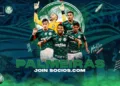palmeiras