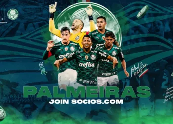 palmeiras