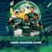 palmeiras