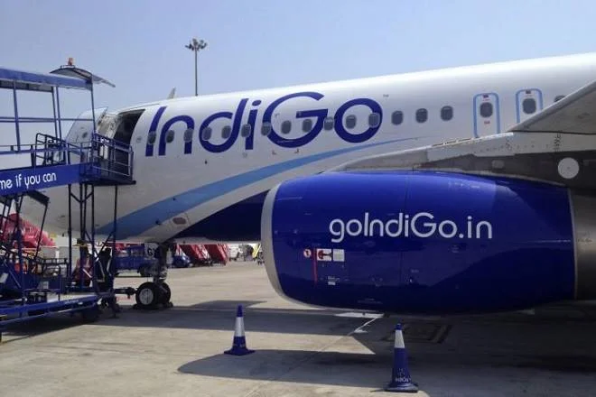 Indigo Airline: How it Become a Monopoly in Aviation Industry